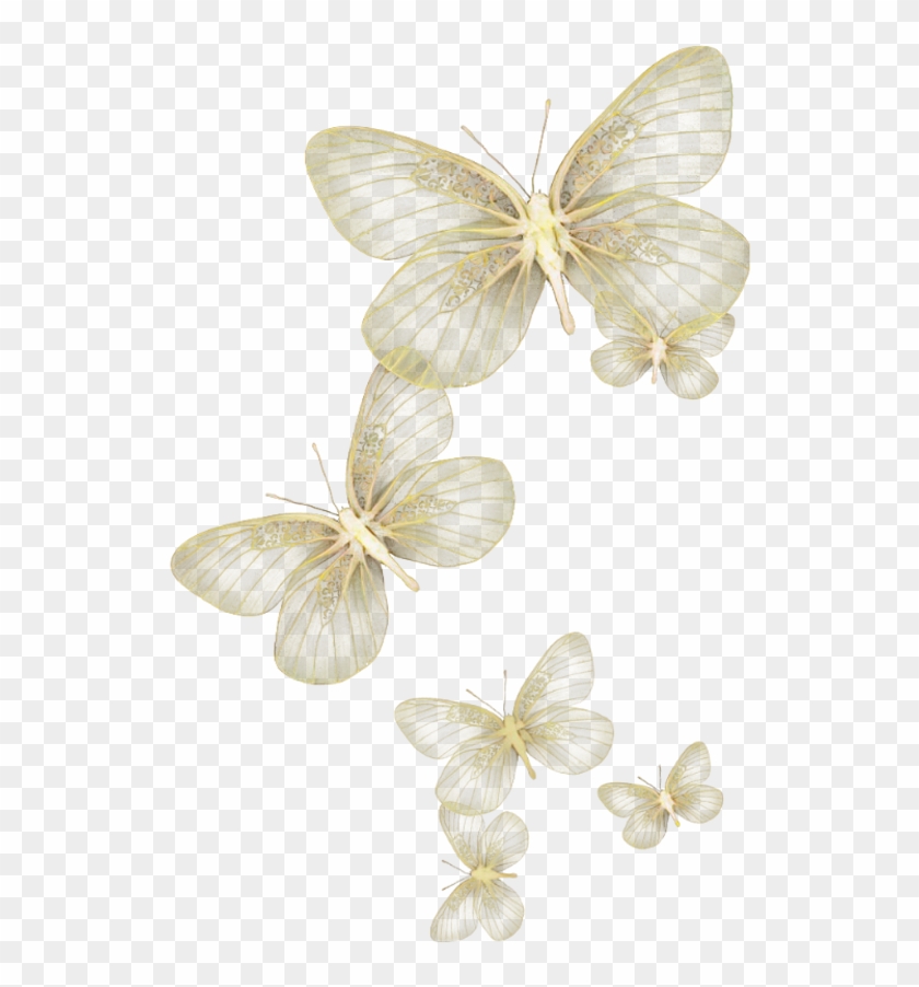 Butterfly Wing Moth Fly Sky Yellow Glitter Wind Flying Clipart #183298