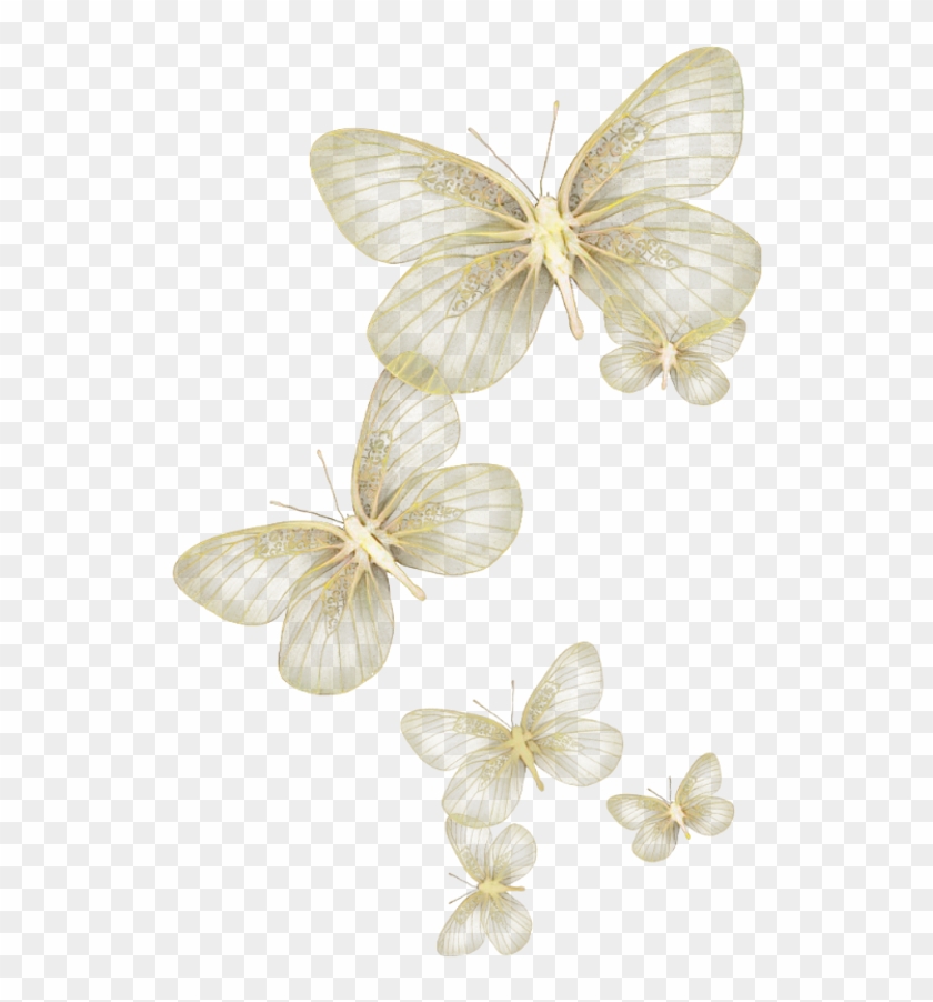Butterfly Wing Moth Fly Sky Yellow Glitter Wind Flying Clipart