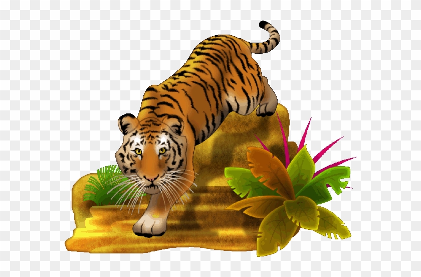 White Tiger Clipart Animated - Tiger Images Png Hd Transparent Png