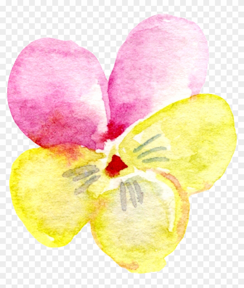 Pink Yellow Flower Transparent Decorative - Orchid Clipart #183366