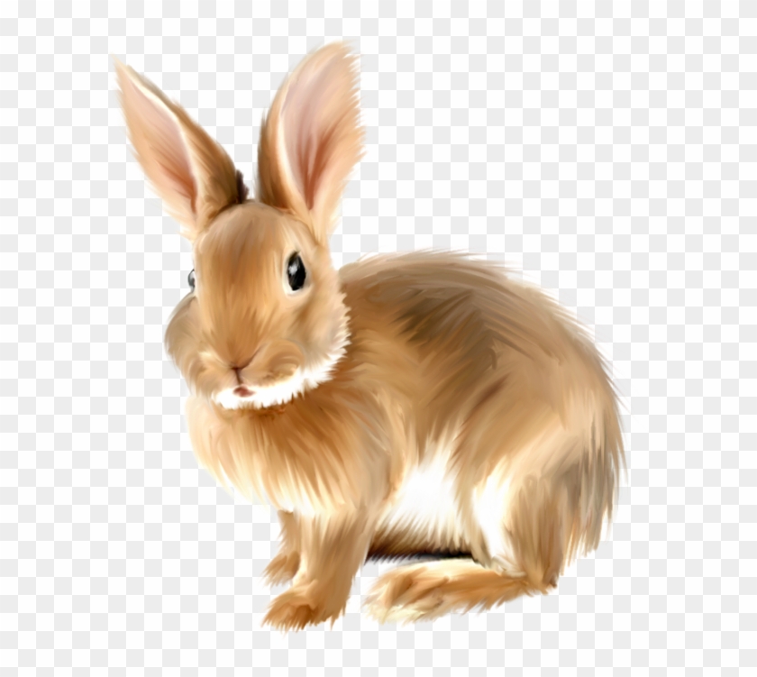 Clipart Black And White Library Painted Bunny A D O - Free Clipart Rabbit - Png Download