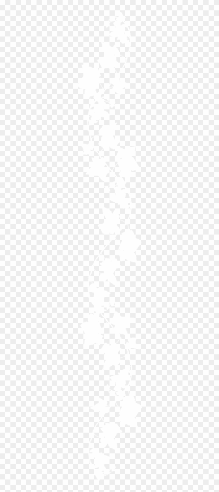 Vine - Illustration Clipart #183646