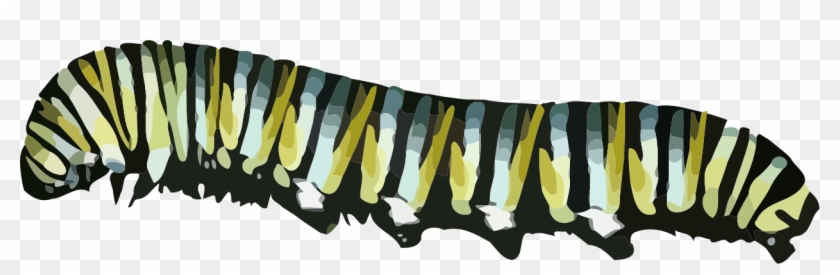 Caterpillar Png - Caterpillar Png Transparent Background Clipart #183848