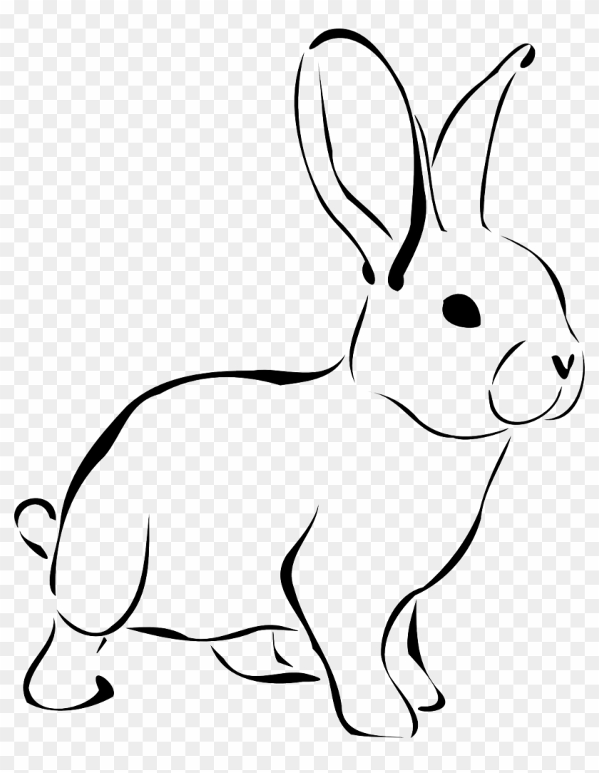 Clip Art Free Stock Image Gratuite Sur Pixabay Lapin - Rabbit Black And White - Png Download