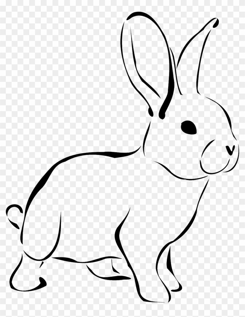 Clip Art Free Stock Image Gratuite Sur Pixabay Lapin - Rabbit Black And White - Png Download #183928