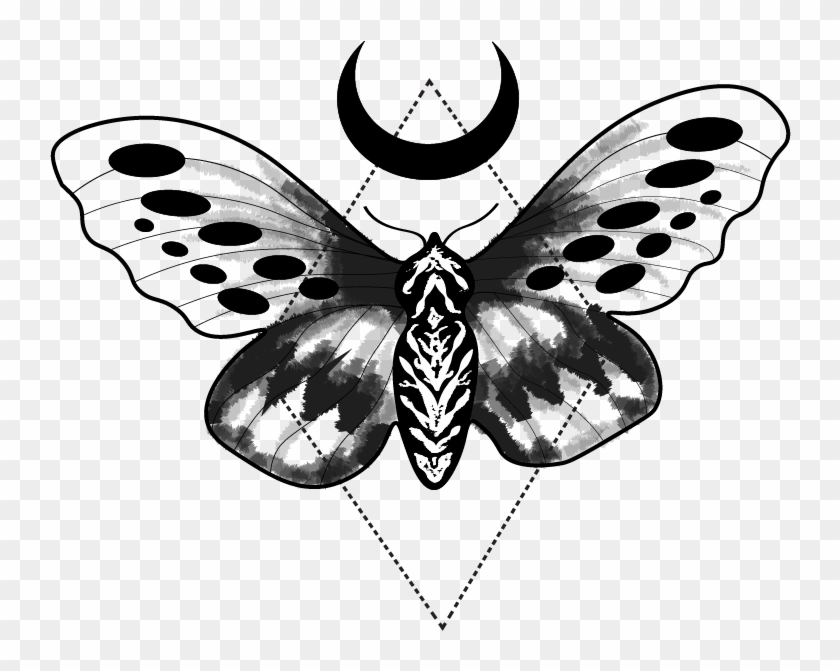 Moth Tattoo Design - Designs Moth Png Tattoo Clipart #183961