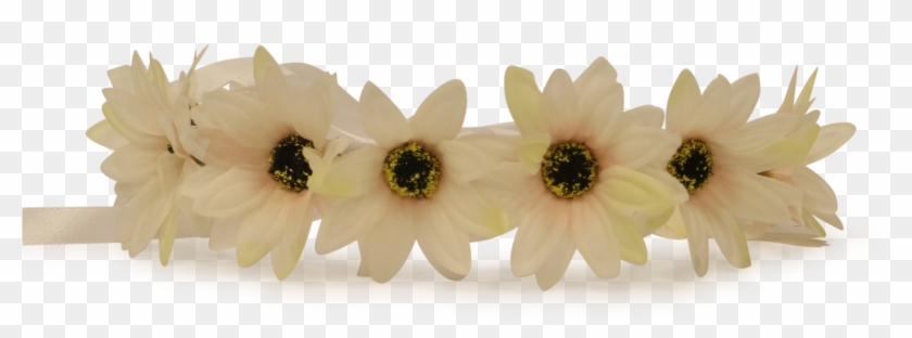 White Flower Crown Png Flower Png Image With No Clipart