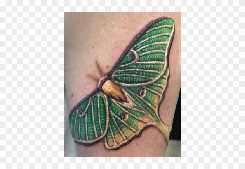 Rebeka Maine Tattoo Artist Lunar Moth Clipart #184356