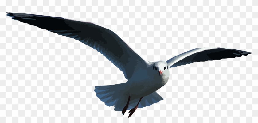 Big Image - Flying Clipart Seagull - Png Download