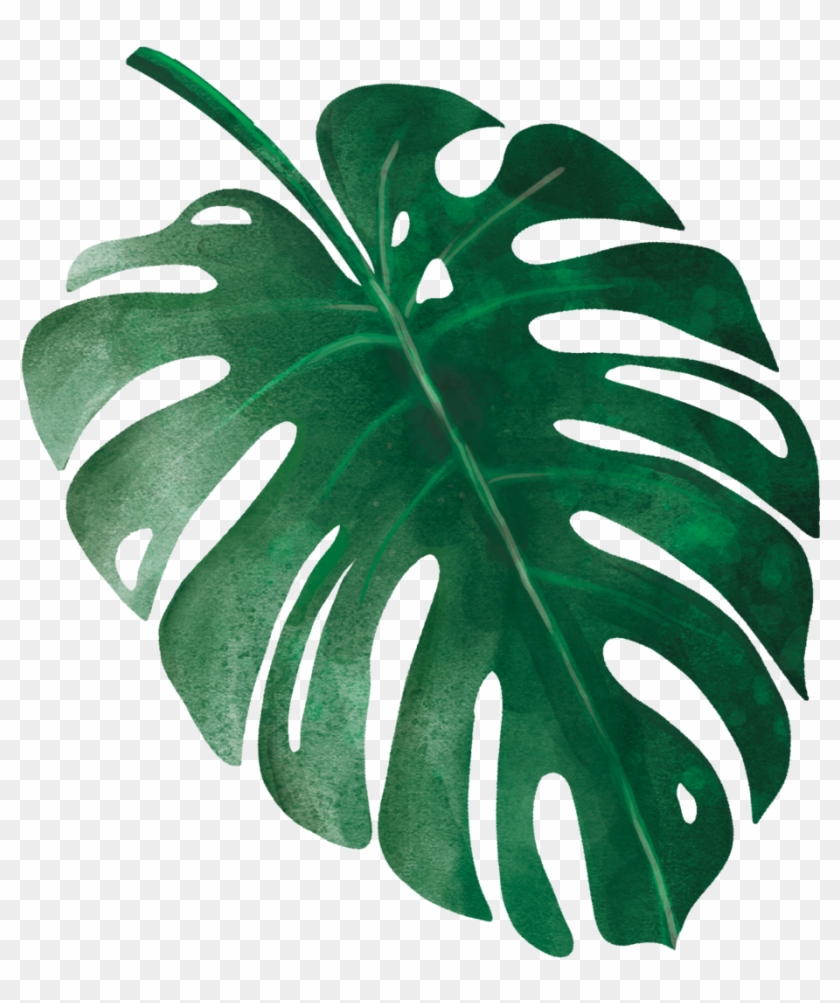 Tropical Leaves 9 Clipart
