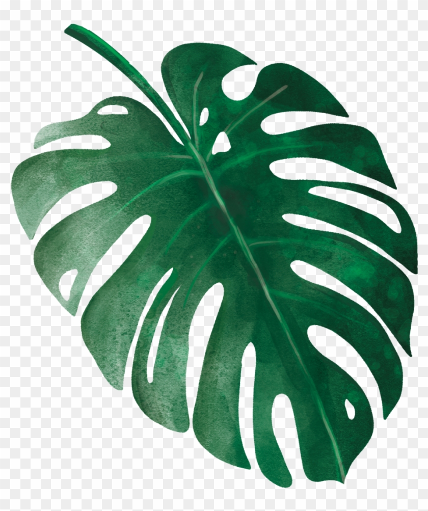 Tropical Leaves 9 Clipart. 