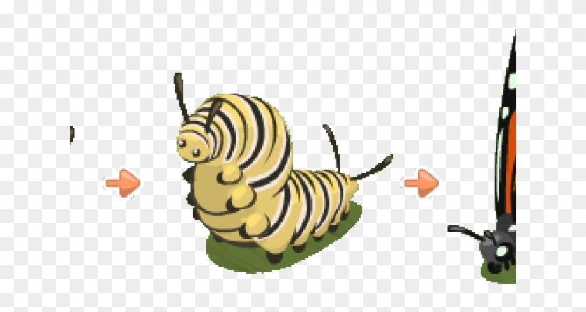 Caterpillar Png Transparent Images - Illustration Clipart