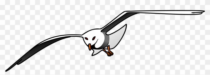 Seagull Clipart - Png Download