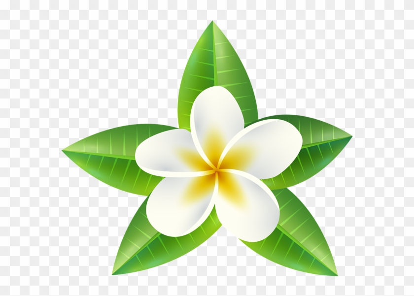 Clip Art Transparent Library Exotic Flower At Getdrawings - Tropical Flowers Png #185093