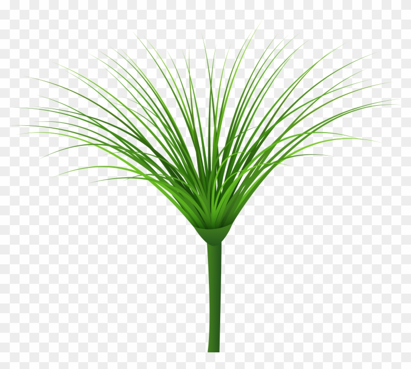 Tropical Green Leaf Png Clip Art Image Transparent Png