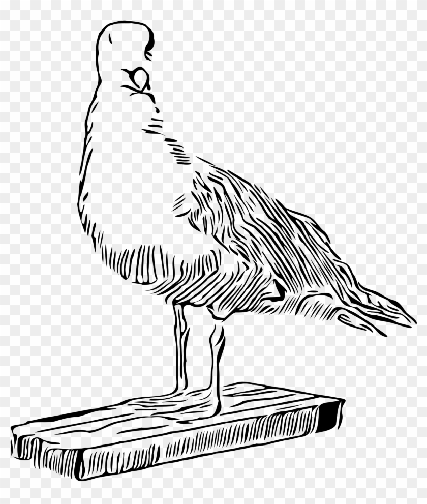 Big Image - Turkey Clipart #185345