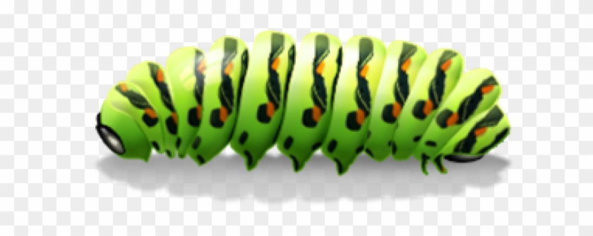 Caterpillar Png Clipart #185373