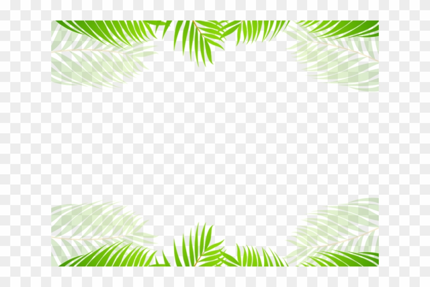 Tropics Clipart Tropical Leaf - Palm Tree - Png Download