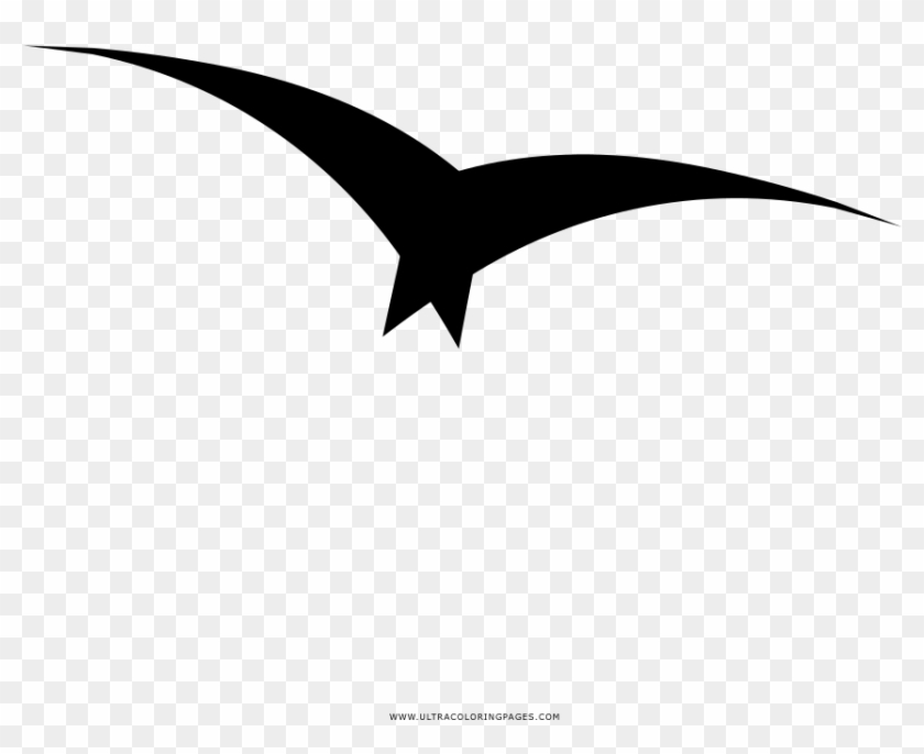 Png Free Stock Gulls Coloring Book Sea Animals Kids - Gaivota Desenho Png Clipart