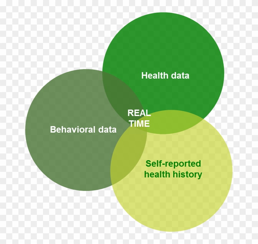 Pe-circles - Circle Clipart