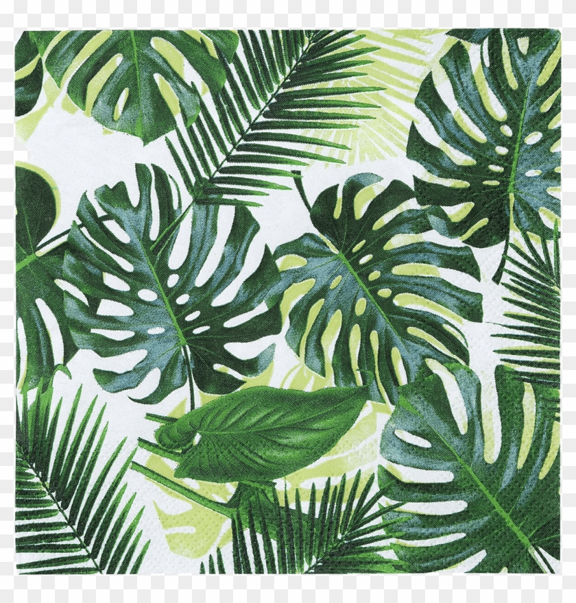 Tropical Fiesta Palm Leaf Cocktail Napkins Clipart #185994