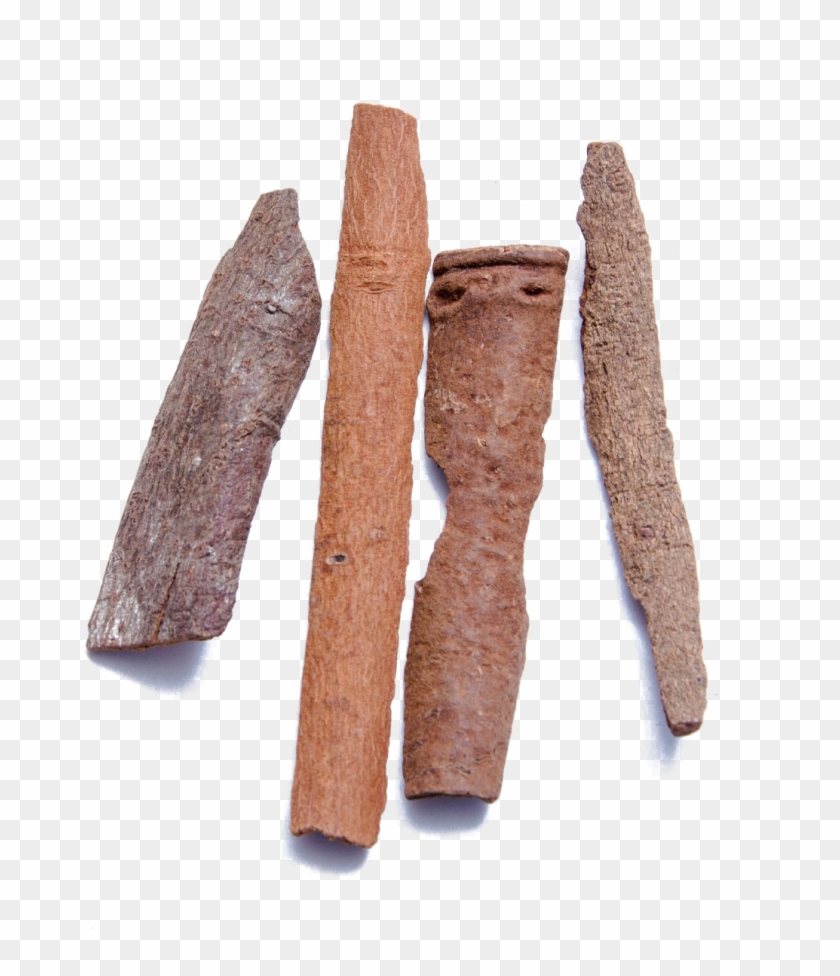 Vietnamese Saigon Cassia Cinnamon Whole Close - Cinnamomum Cassia Png Clipart #186757