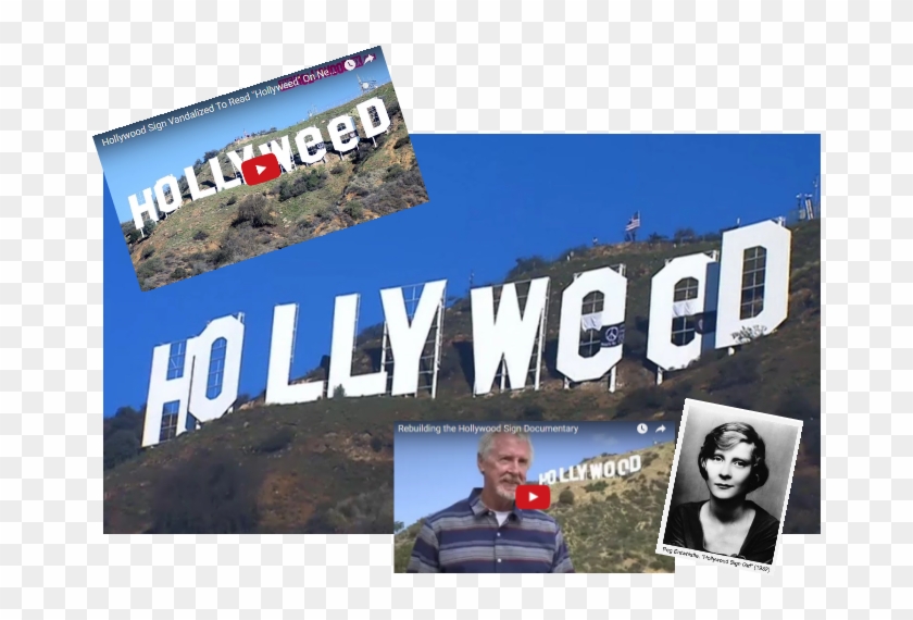 Prankster Changes Famous 'hollywood' Sign To 'hollyweed' - Hollywood Sign Clipart #186789