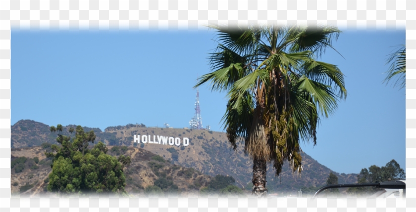 Of Course I Had No Idea What Adventures I Was Going - Hollywood Sign Clipart #187897