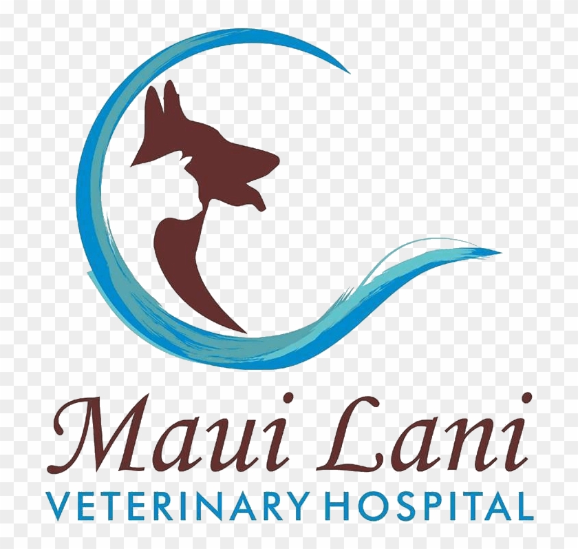 Graphic Design Clipart