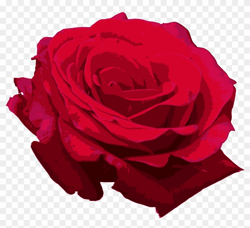 Free Download - Floribunda Clipart #188464