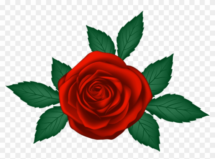 Free Png Download Red Rose Transparent Png Images Background - Png Rose Clipart