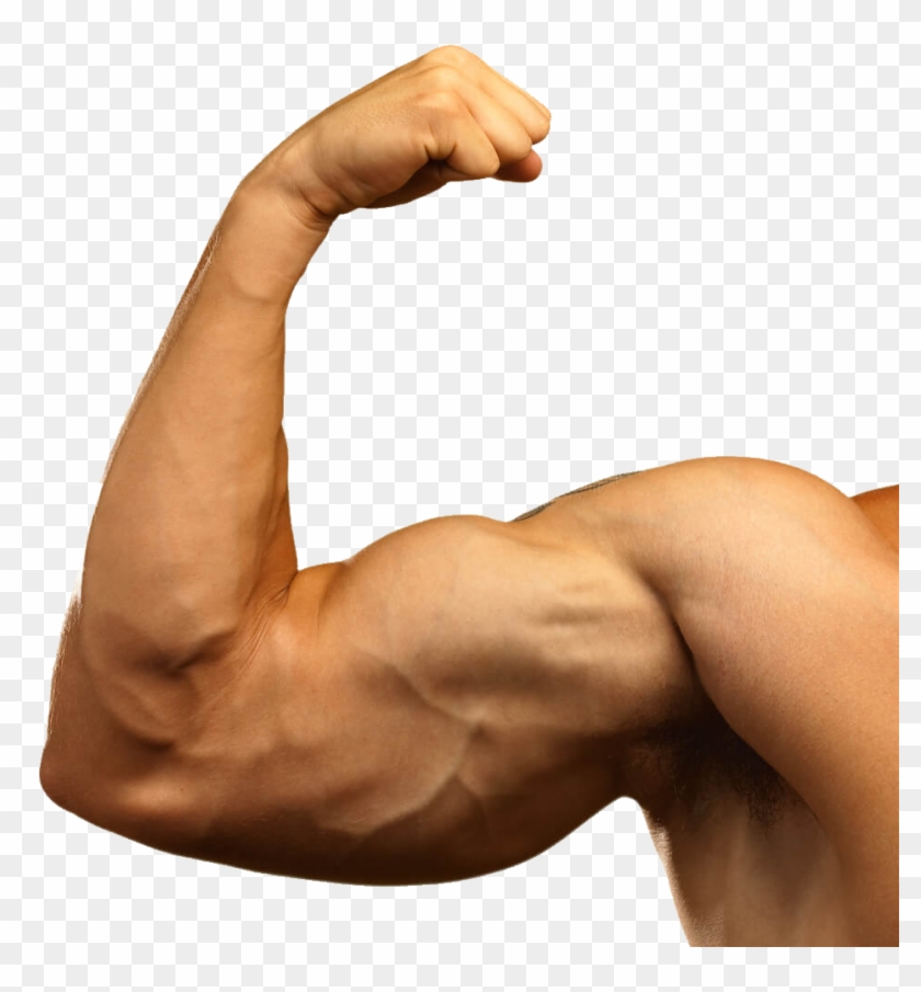 Big Arm Muscles Clipart