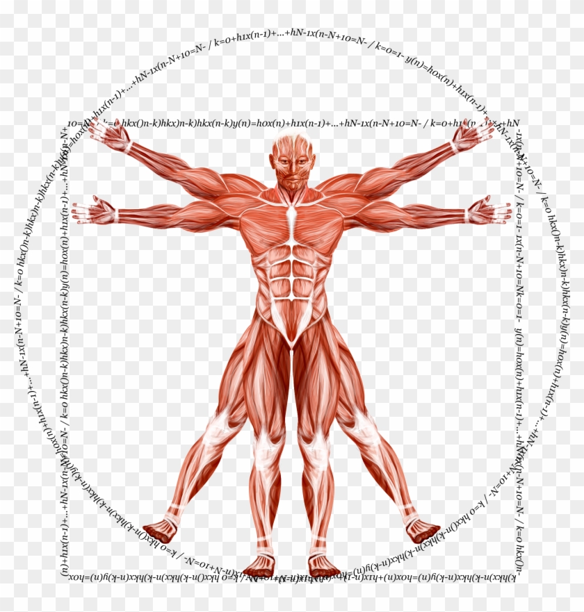 Illustration Clipart #188834