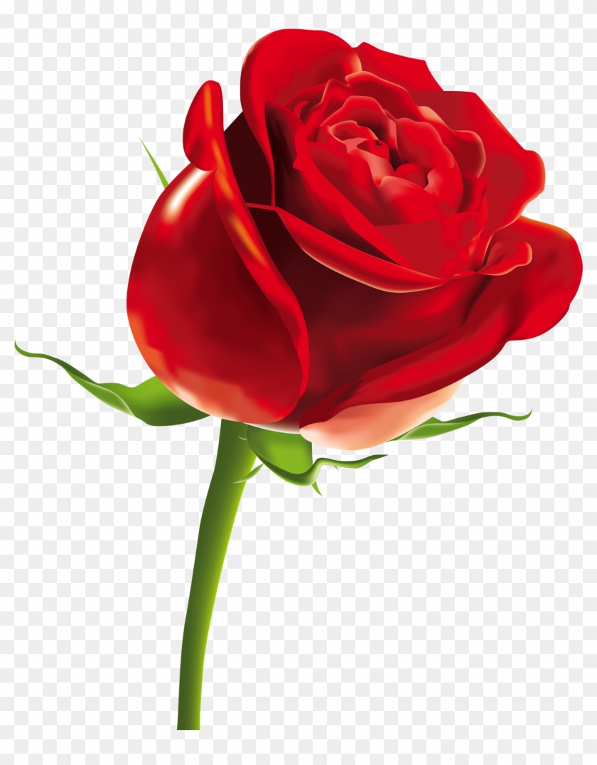 Rose Day Shayari, Red Rose Png, Red Rose Drawing, Single - Red Rose Png Clipart