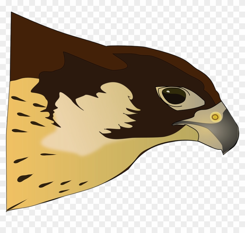 Raptor - Png Clipart Hawk Transparent Png #189065