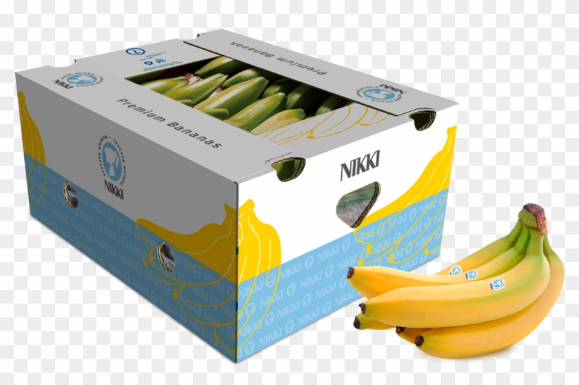 Bananas Delivered Worldwide - Banana Clipart #189090