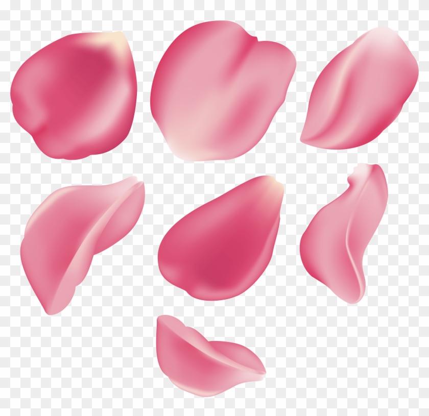 Free Png Download Rose Petal Set Pink Transparent Png Clipart #189120