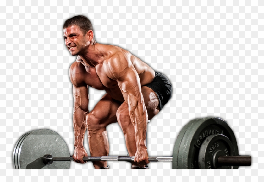 Muscle Transform - Bodybuilding Clipart #189344