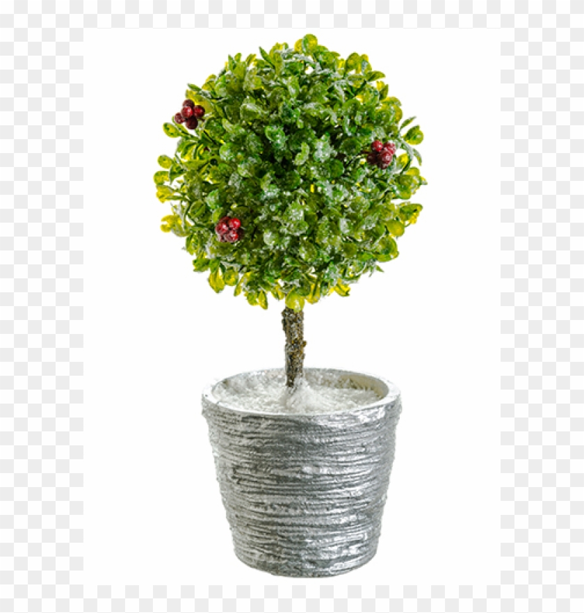 11" Icy Boxwood Single Ball Topiary W/silver Glitter - Centrepiece Clipart #189430