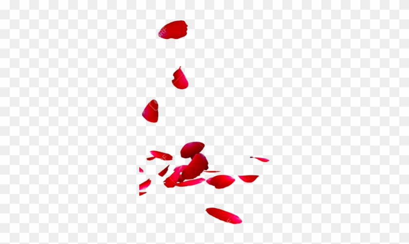 Rose Petals - Illustration Clipart #189452