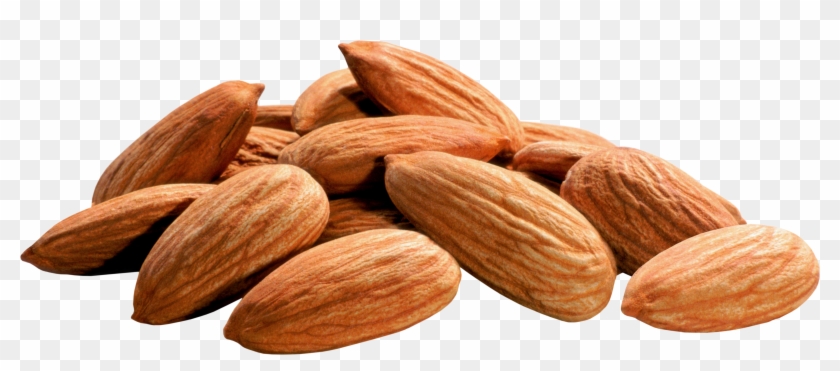 Nuts Png Clipart #189454