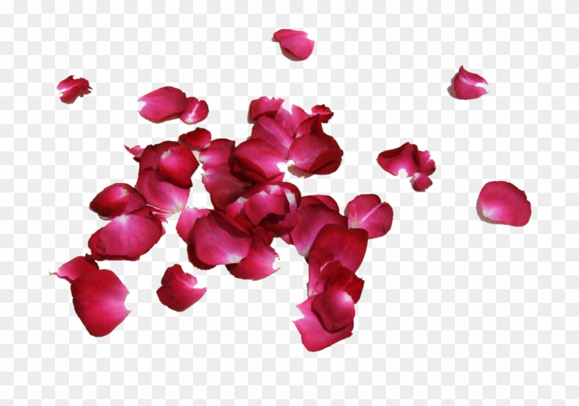 Rose Petals - Petalos De La Flor Clipart #189456