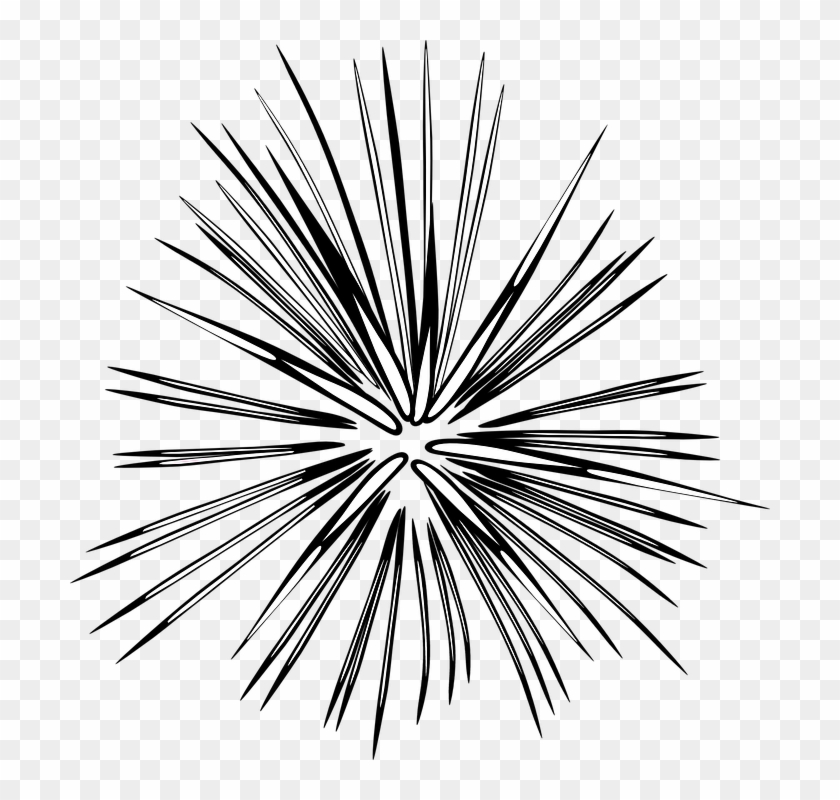 Drawn Fireworks Transparent Background - Black Fireworks Transparent Background Clipart #189631