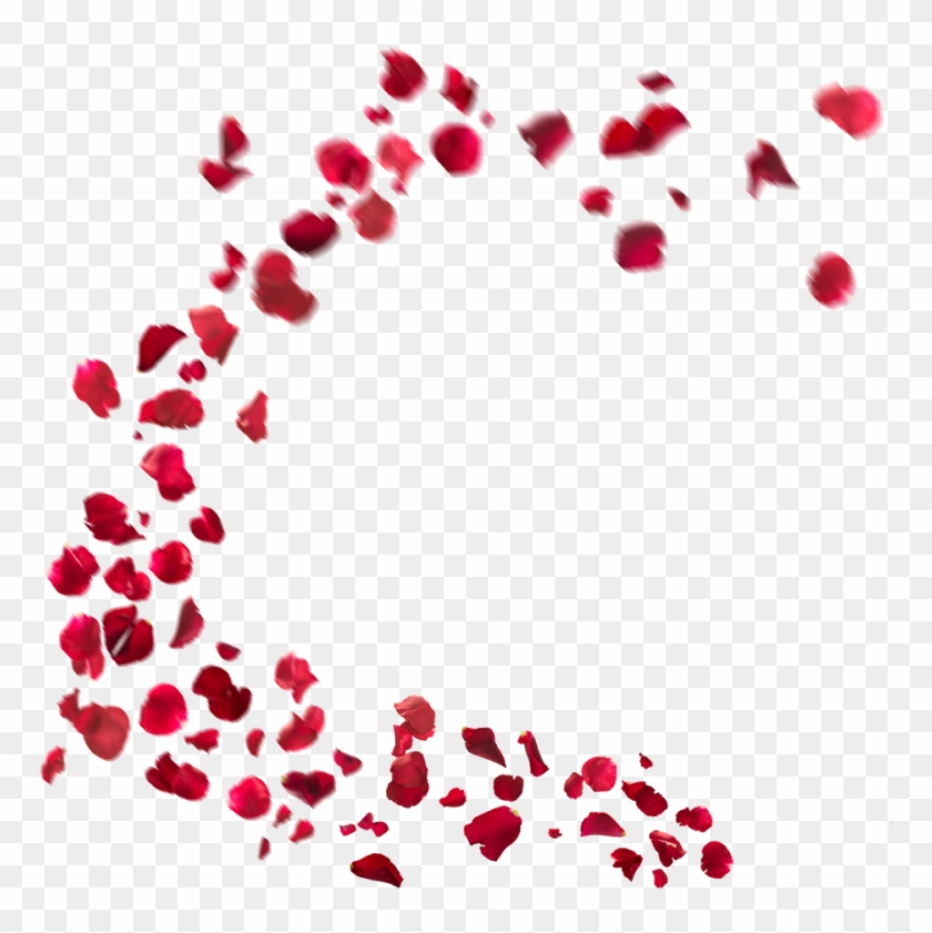 Falling Rose Petals Png Hd - Flowers Png For Picsart Clipart