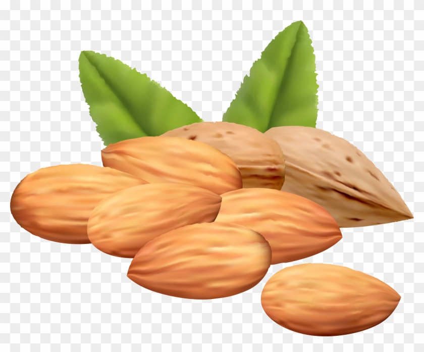Nuts Clipart Png Transparent Png