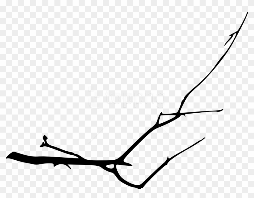 Free Png Simple Tree Branch Png - Line Art Clipart #1801778