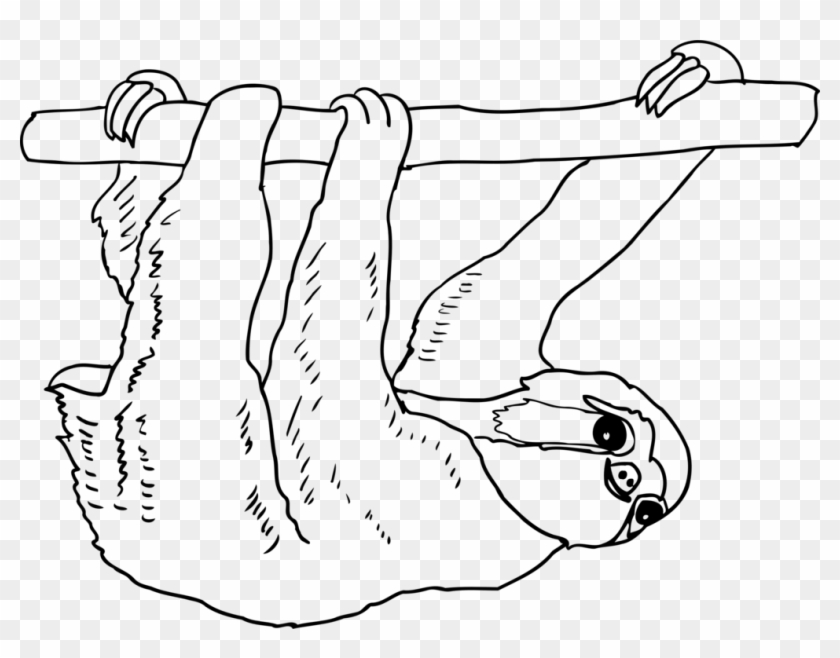 Sloth Thumb Mammal Drawing Line Art - Sloth Clipart Black And White - Png Download