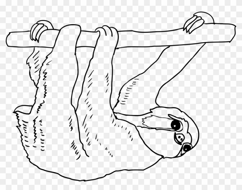 Sloth Thumb Mammal Drawing Line Art - Sloth Clipart Black And White - Png Download #1802470