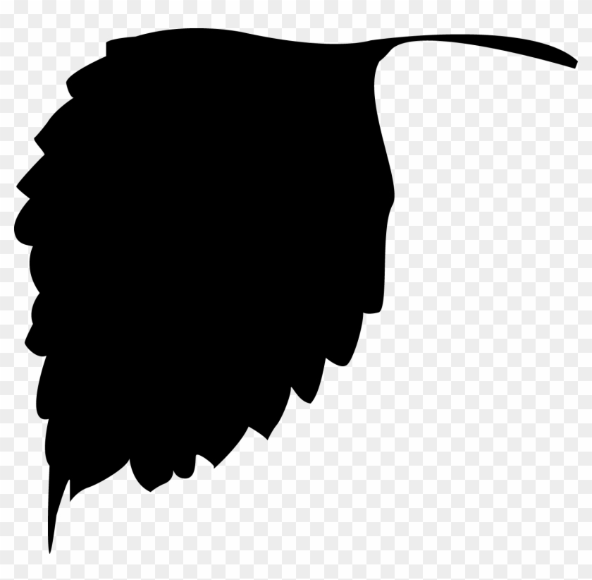 Leaf Silhouettes Free Vector Graphics Free Vector 4vector - Leaf Silhouette Png Vector Clipart