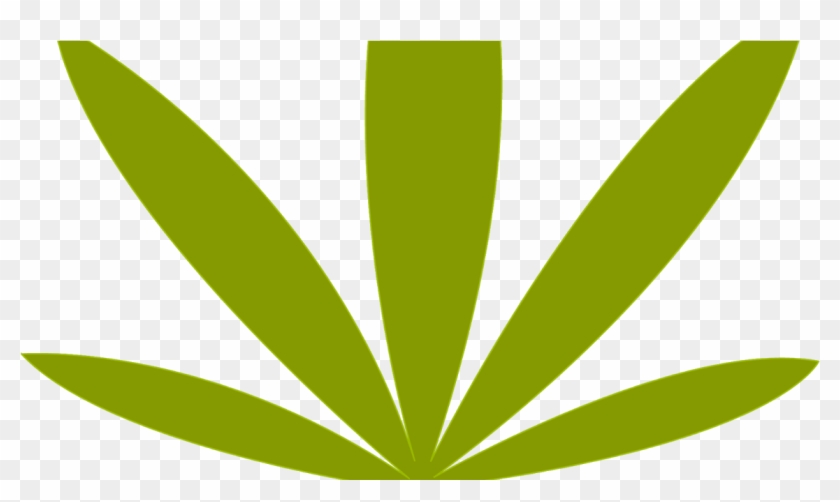 Η Κυβέρνηση Της Ουρουγουάης Θα Πουλάει Φθηνή Και Ποιοτική - Illustration Clipart